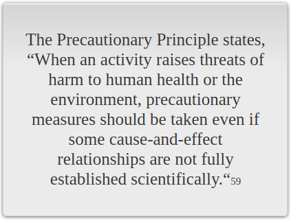 precautionary principle