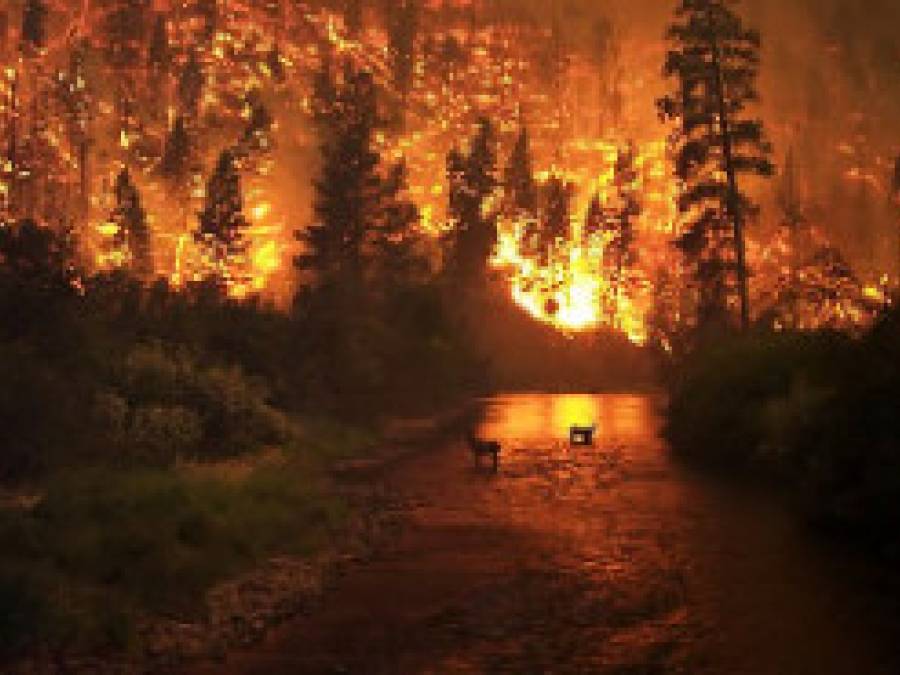 Why Wildfires Are Bigger and Harder to Control