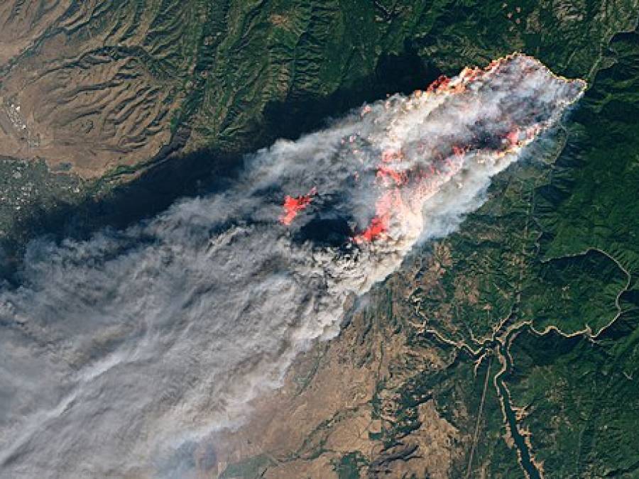 Grim Lessons Learned and Warnings from California Fire Stories 